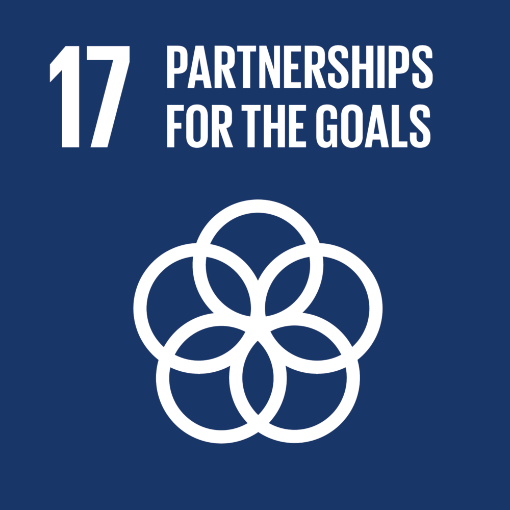 Partners van de Social Impact Factory